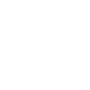 caliceo